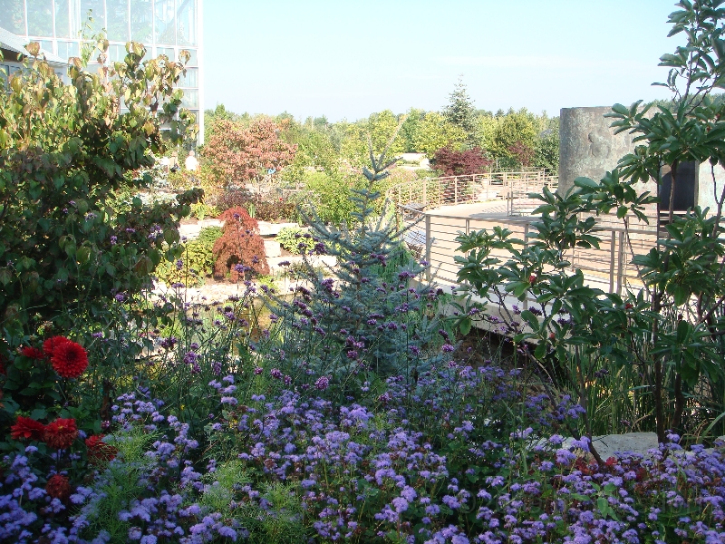 Western Michigan [2009] 188.JPG - Scenes from Frederik Meijer Gardens & Sculpture Park.